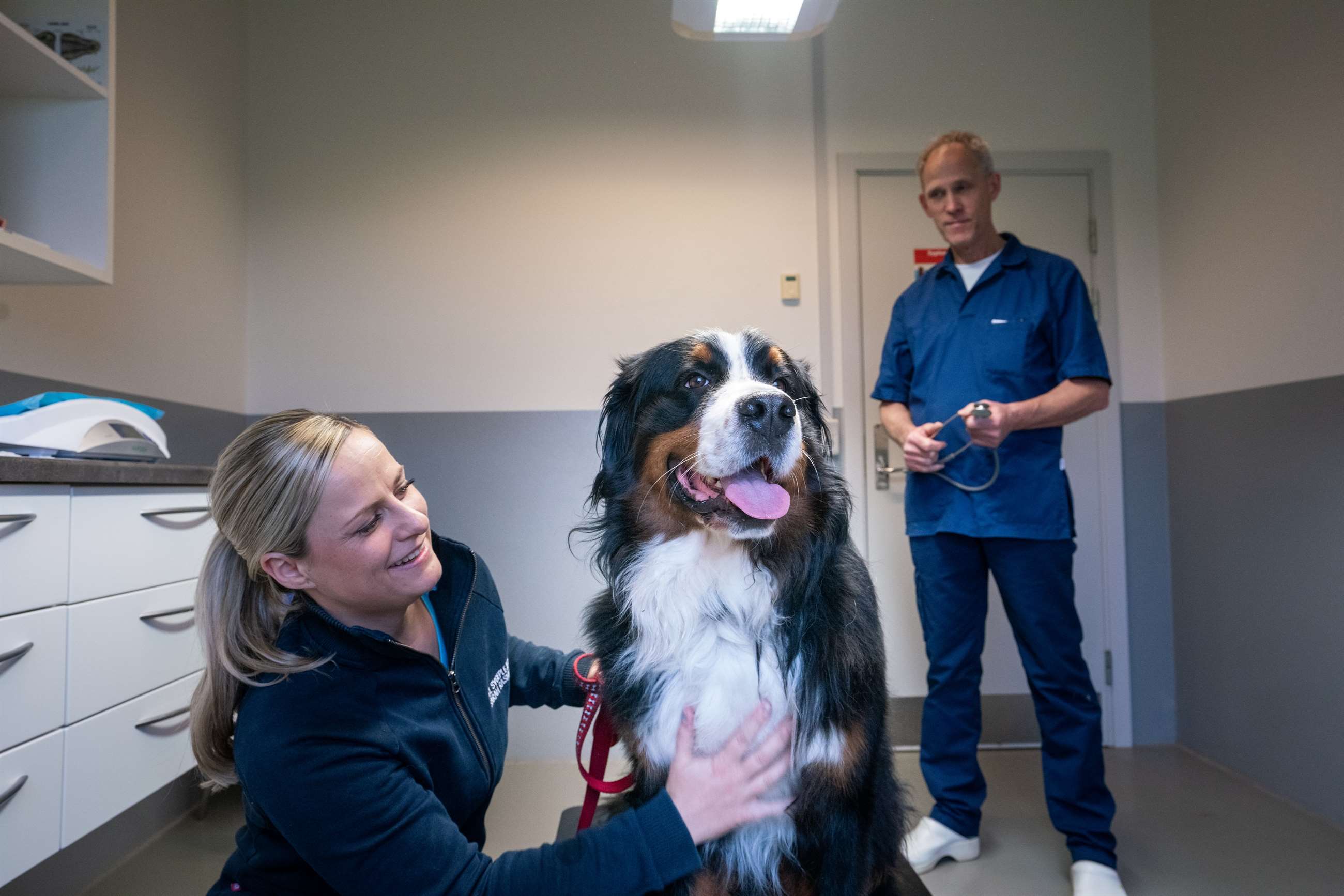 201028_hornbaek_dyrehospital-4